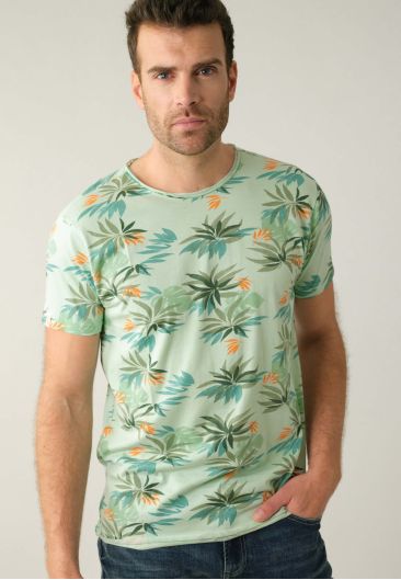 ZELI TS M m+