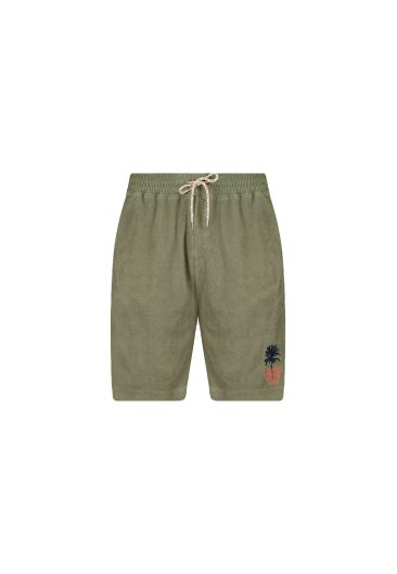 Short NARCIS