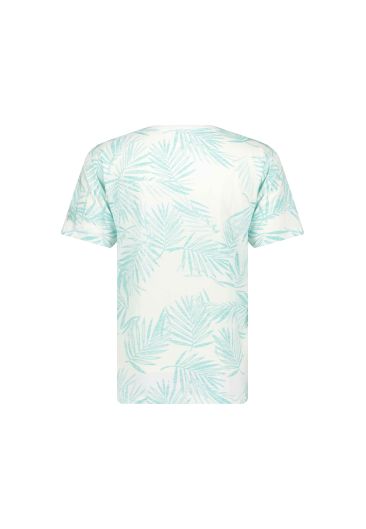 BLOSSOM TS M m+