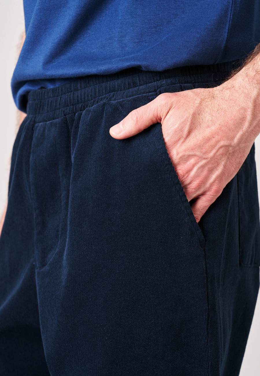 Pantalon ARISTO Navy homme-3