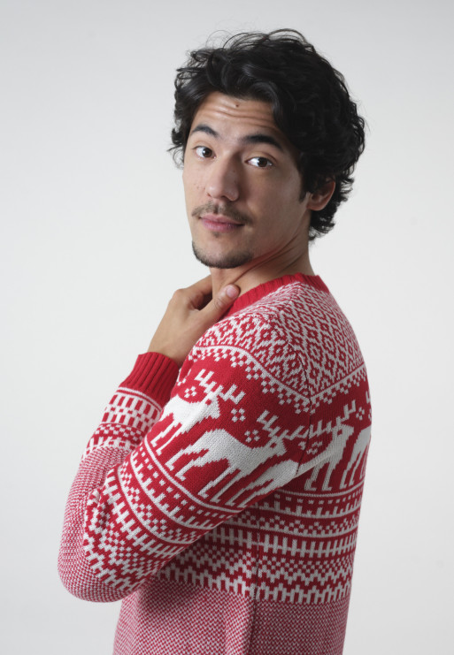Pull Jacquard de Noël