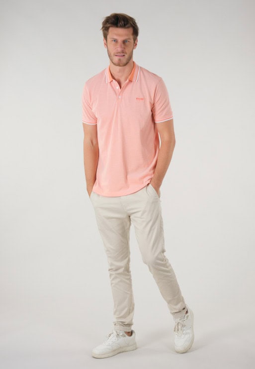 Polo ALIVE