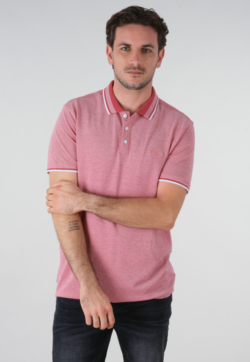 Polo ALIVE