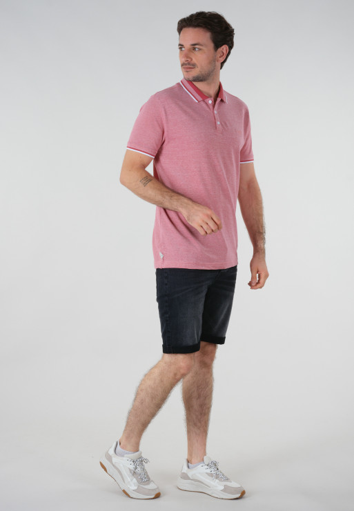 Polo ALIVE
