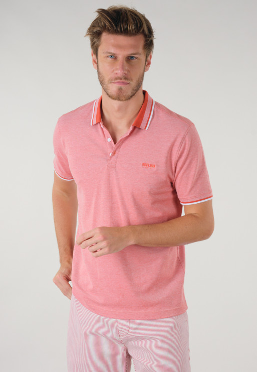 Polo ALIVE