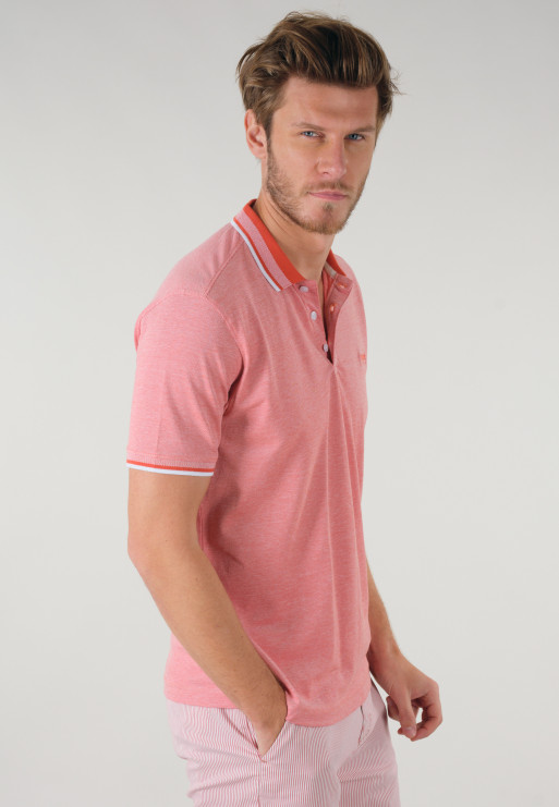 Polo ALIVE