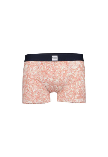 Boxer MORDON
