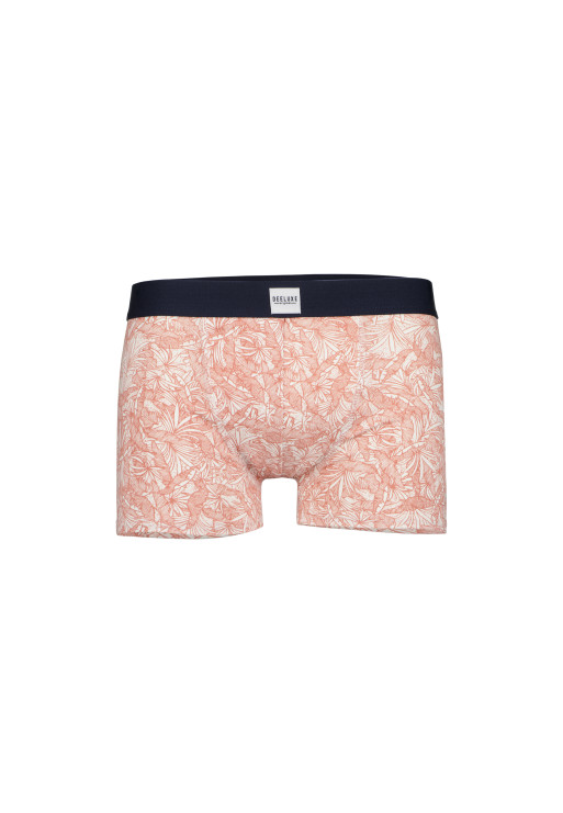 Boxer MORDON