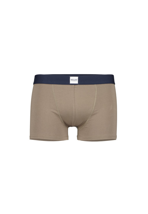 Boxer MORDON
